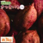 さつまいも 土佐紅 3kg