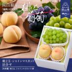 ふるさと納税 和気町 【令和7年発送】桃・シャインマスカット詰合せ EE-66