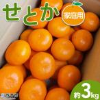 せとか 3kg