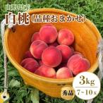 白桃 品種おまかせ 3kg