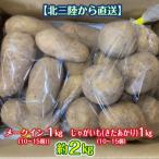 岩手 じゃがいも 約2kg