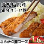 霜降りトロ豚ロースとんかつ 200g×8枚