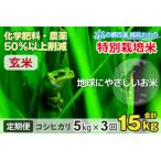 ふるさと納税 大野市 【令和7年産】【3ヶ月定期便】こしひかり 5kg × 3回 計15kg【玄米】「特別栽培米」
