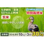 こしひかり 10kg×3回