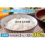 こしひかり 3kg×12回
