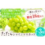 ショッピングふるさと納税 シャインマスカット ふるさと納税 笠岡市 たたらみねらるシャインマスカット1.3kg以上(2房〜3房)(2026年産先行受付)2-21a