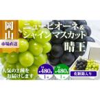 詰合 ニューピオーネ シャインマスカット晴王