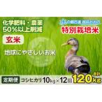 こしひかり 10kg×12回