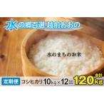 こしひかり 10kg×12回