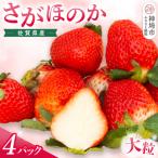 さがほのか 4Pセット H108103