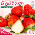 さがほのか 8Pセット H108104