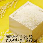 ふるさと納税 大崎市 鳴子の米プロジェクト ゆきむすび3kg【2024年産】