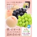 ショッピングふるさと納税 シャインマスカット ふるさと納税 笠岡市 岡山県産 桃とぶどうの詰め合わせ≪桃・ピオーネ・シャインマスカット≫　令和8年産先行受付　H-24a