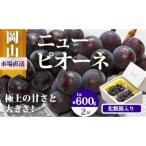 EE-64 ニューピオーネ 1房600g以上