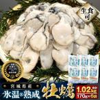ふるさと納税 石巻市 宮城県産 かき 氷温熟成 牡蠣 生食用 冷凍170g×6袋 約1.02kg まるたか水産 石巻応援