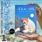 深島ねこ図鑑vol.3 1冊