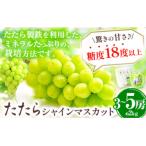 たたらみねらるシャインマスカット2kg以上