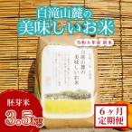 米 三原の絶景白滝山麓の美味しいお米 胚芽米 3.5kg×6回