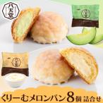 パン 菓子パン 八天堂 くりーむメロンパン8個詰合せ