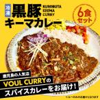 冷凍黒豚キーマカレー6食セット K315-001