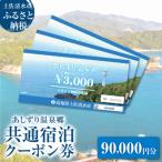 共通宿泊クーポン券 あしずり温泉郷 90 000円分
