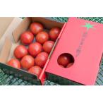 fu.... налог восток Hiroshima город [ предшествующий прием товар ] UGG laiz другой ...... примерно 2kg( примерно 1kg коробка ×2)[ рассылка время :2 месяц ~3 месяц ]