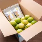 ワックス 防腐剤不使用の皮ごと使えるレモン4kとかりんとう…