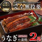 ふるさと納税 曽於市 鹿児島県産うなぎ蒲焼 (1尾あたり136g〜155g×2尾、タレ・山椒付き)