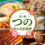 ふるさと納税 都農町 ≪6か月お楽しみ定期便≫都農町定期便(梅) 肉 加工品 デザート 国産_T999-0051