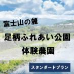 足柄ふれあい公園 体験農園 スタンダード農園プラン