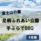 足柄ふれあい公園 手ぶらでBBQ 6名様