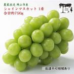 ショッピングふるさと納税 シャインマスカット ふるさと納税 瀬戸内市 【平均糖度20度】シャインマスカット1房約750g 特秀クラス 岡山県産[No.5735-1944]