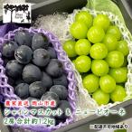 ショッピングふるさと納税 シャインマスカット ふるさと納税 瀬戸内市 シャイン マスカット&ニュー ピオーネ 2房 合計約1.2kg 岡山県産[No.5735-1945]