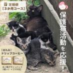 定期便 3回 保護猫活動を応援 ドリップバッグ 10袋×3カ月
