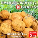 福祉作業所の仕事にもつながる 徳之島の“新”じゃがいも 3kg