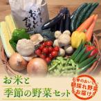 石巻産 お米と季節の野菜セット 朝採れ 旬の野菜