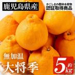JAさつま日置いちき串木野産無加温大将季 約5kg