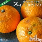 <木成り ジューシーゴールド 河内晩柑