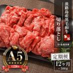 A5ランク 淡路島産黒毛和牛 切り落とし 500g
