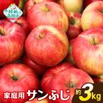 先行受付 りんご サンふじ 約3kg