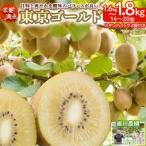 ふるさと納税 太良町 栄養満点!東京ゴールド(キウイフルーツ) 14〜20個1.6kg〜1.8kg　LB13