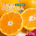 ふるさと納税 太良町 潮風の贈り物 みかん(小玉)10kg　NB27