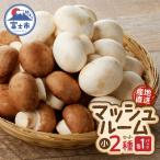 fu.... налог Fuji город Hasegawa сельское хозяйство производство гриб ( маленький )×2 упаковка комплект прямая поставка от производителя [sf002-351]