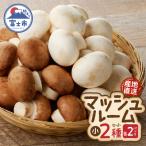 fu.... налог Fuji город Hasegawa сельское хозяйство производство гриб ( маленький )×4 упаковка комплект прямая поставка от производителя [sf002-352]