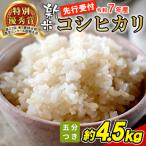 東 令和7年産 新米 コシヒカリ 五分つき米 約4.5kg