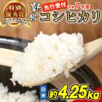 東 令和7年産 新米 コシヒカリ 白米 約4.25kg