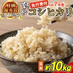 東 令和7年産 コシヒカリ 新米 玄米 約10kg