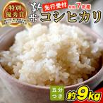 東 令和7年産 新米 コシヒカリ 五分つき米 約9kg