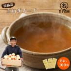 ふるさと納税 淡路市 名手農園の淡路島産玉ねぎスープ 6g×100袋　an03022