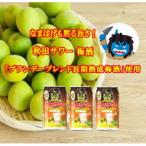 ご当地サワー 秋田サワー 梅酒 12本入り